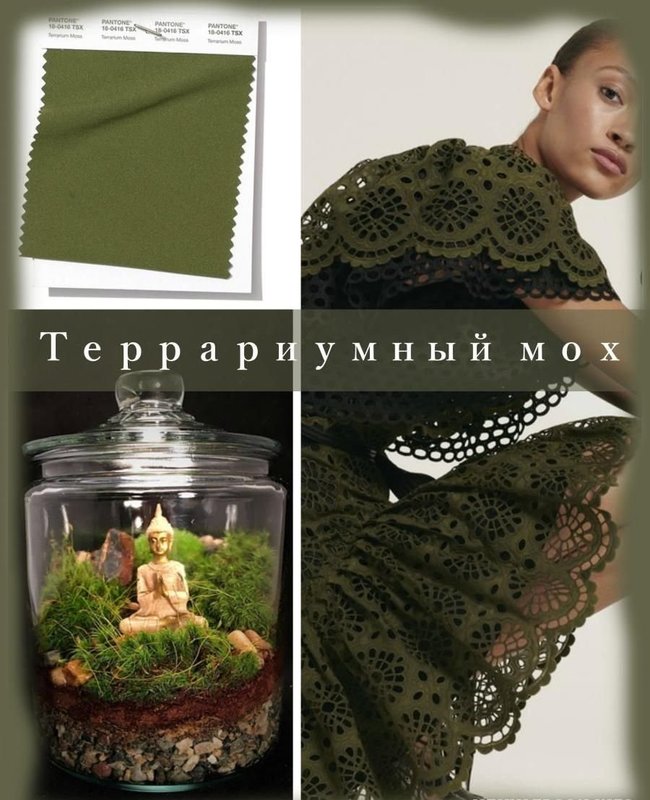 Модный цвет "Террариумный мох"