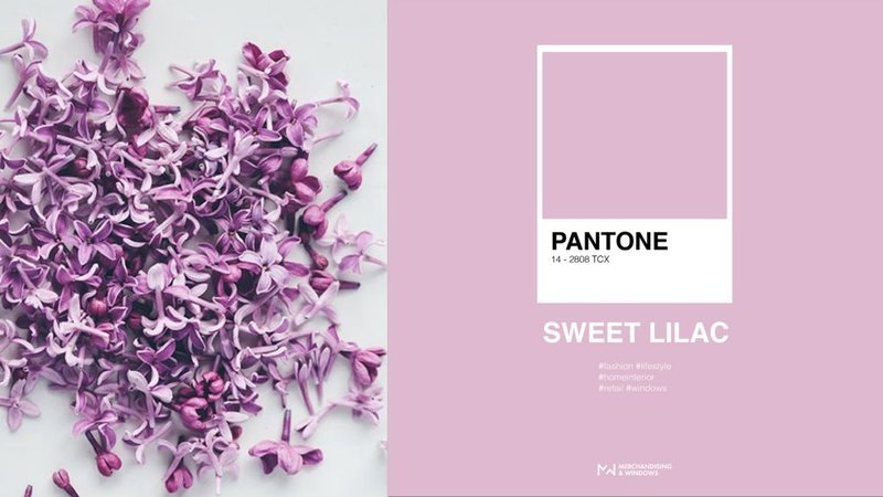 Цвет "Sweet lilac"