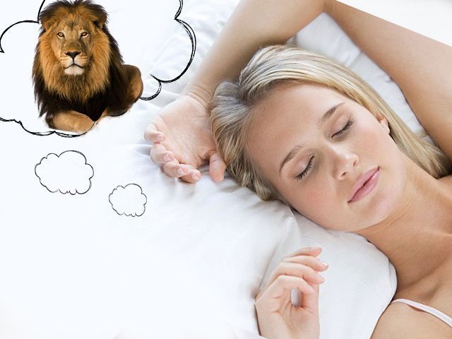К чему женщине снится лев?