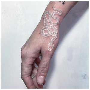Белая змея на руке