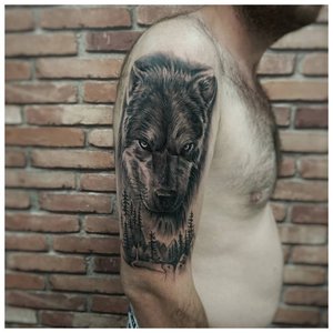 Волк на плече у мужчины - реальное тату