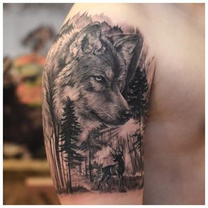 Волк в лесу - тату на плечо мужчине