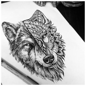 Эскиз волка в разной стилистике