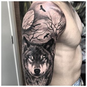 Реалистичный волк - тату на плече