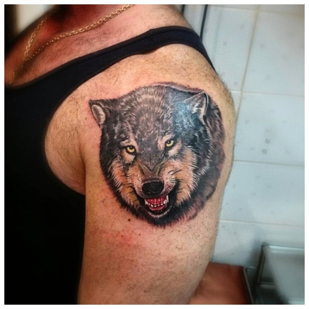 Тату оскал волка на плече