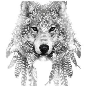 Красивый мудрый волк