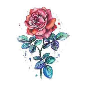 Цветной эскиз "Красная роза"