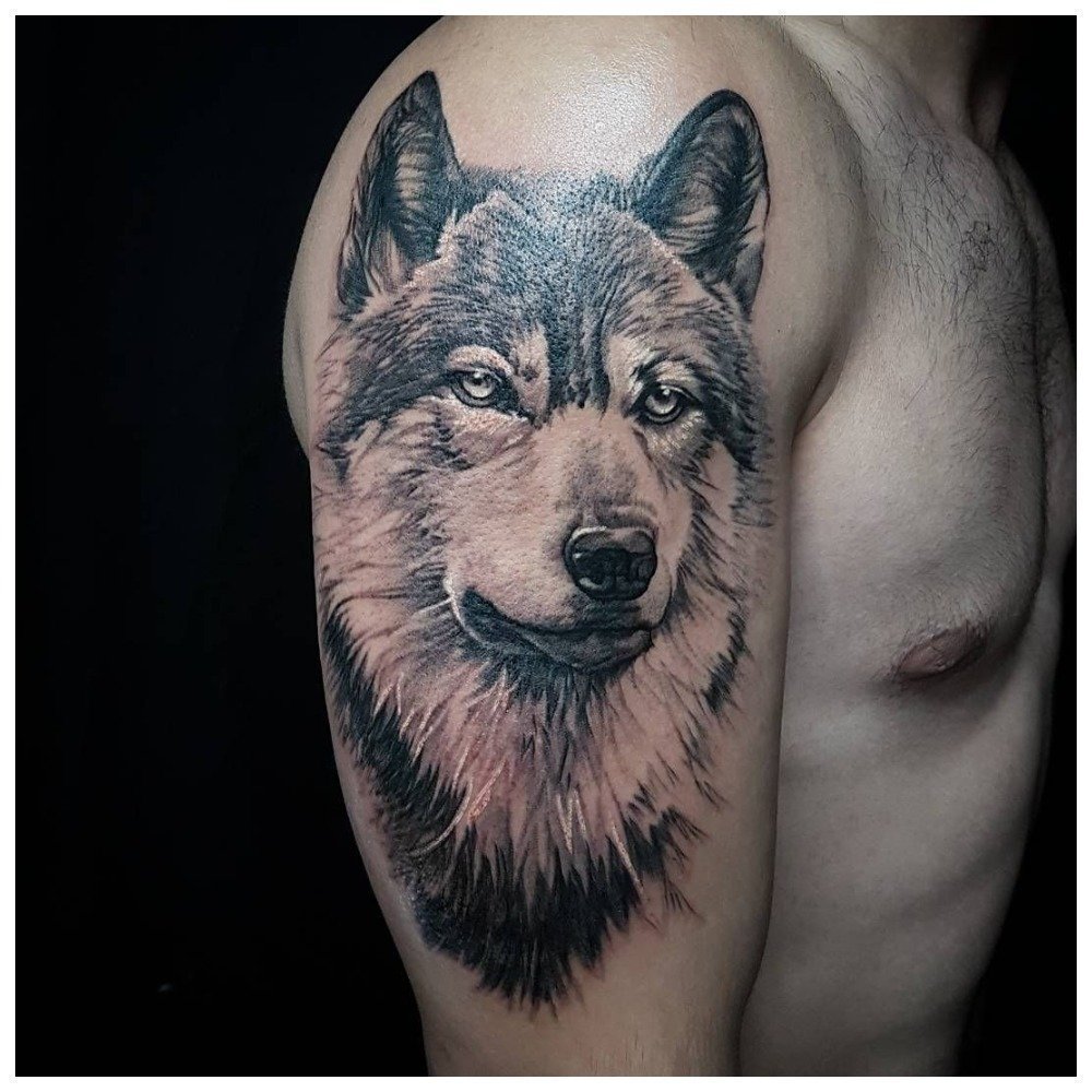 Модные тату волка на мужские плечи.