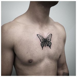 Тату бабочка на груди