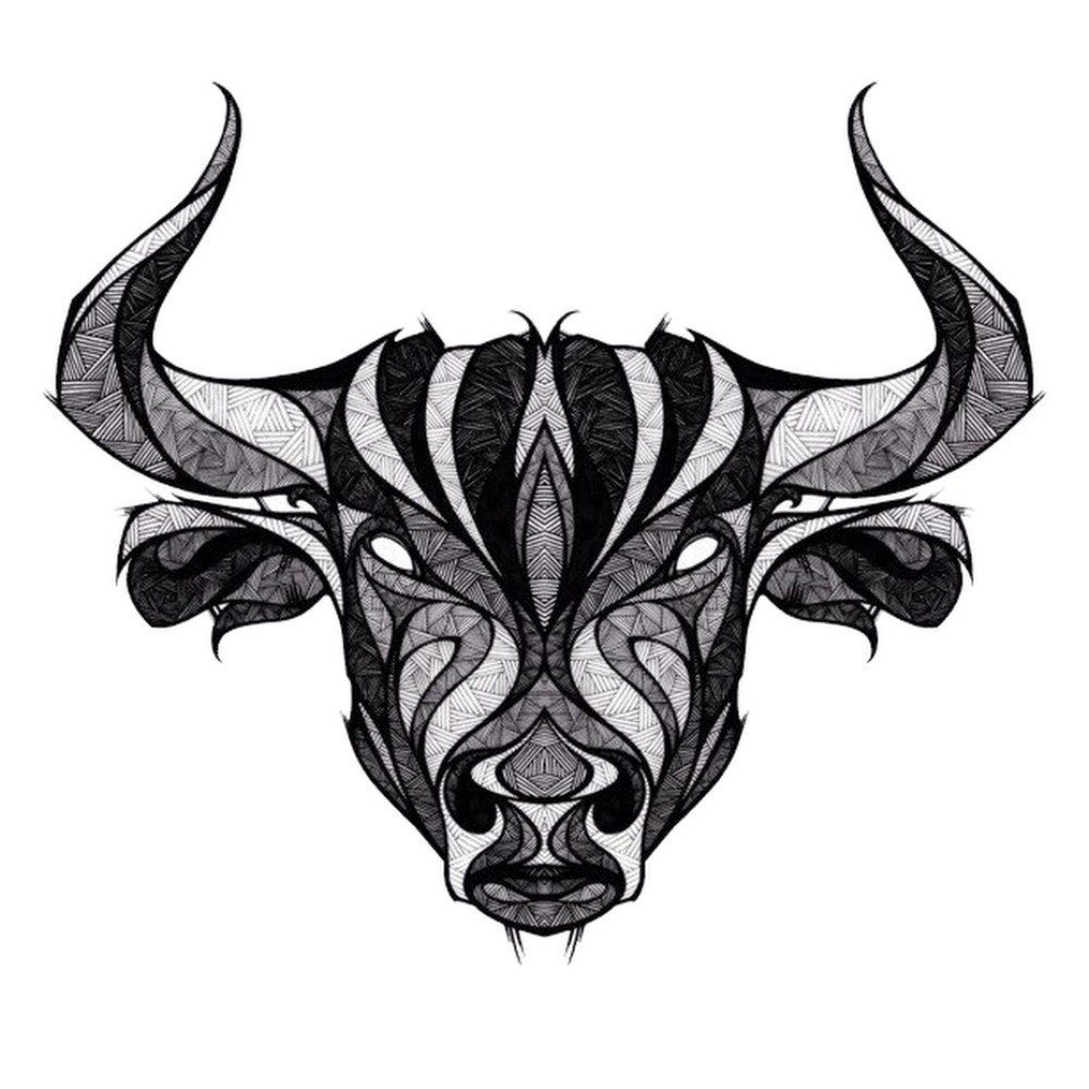 Bull head tattoo drawing