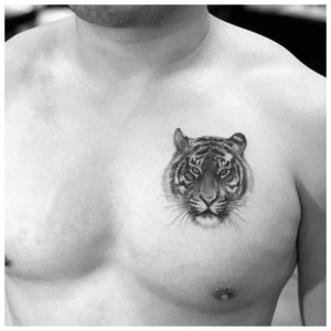 Анималистическая тату на груди у мужчине