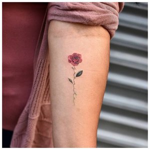 Маленькая роза в цветном оформлении - тату