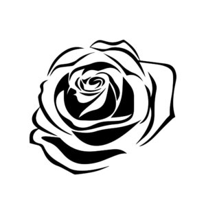 Красивая роза эскиз для тату 