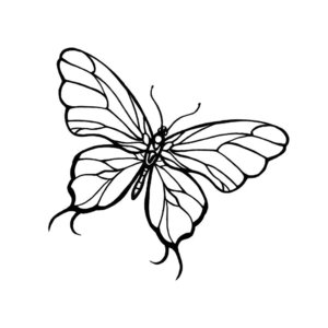 Эскиз бабочки для тату 