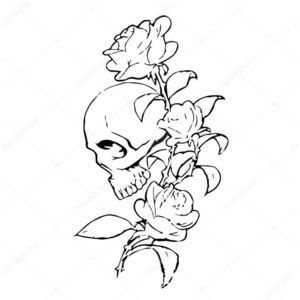 Роза и череп эскиз для тату 
