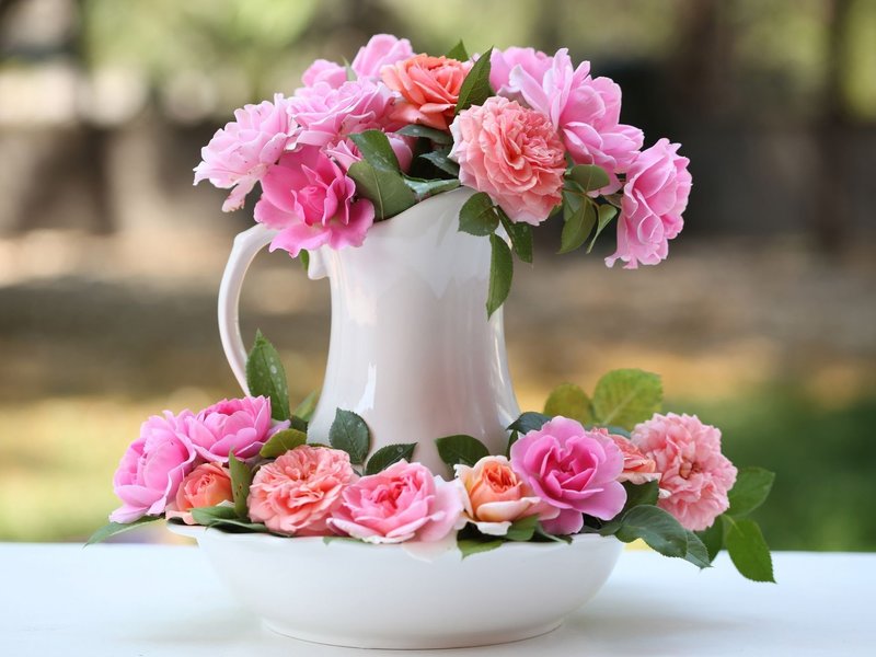 Розы в чайнике