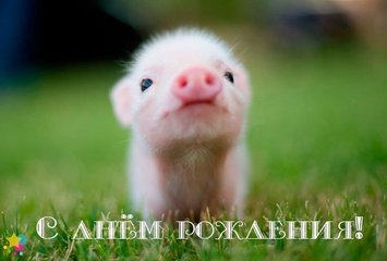 Открытки с Днём Рождения Девушке Открытка с днем рождения