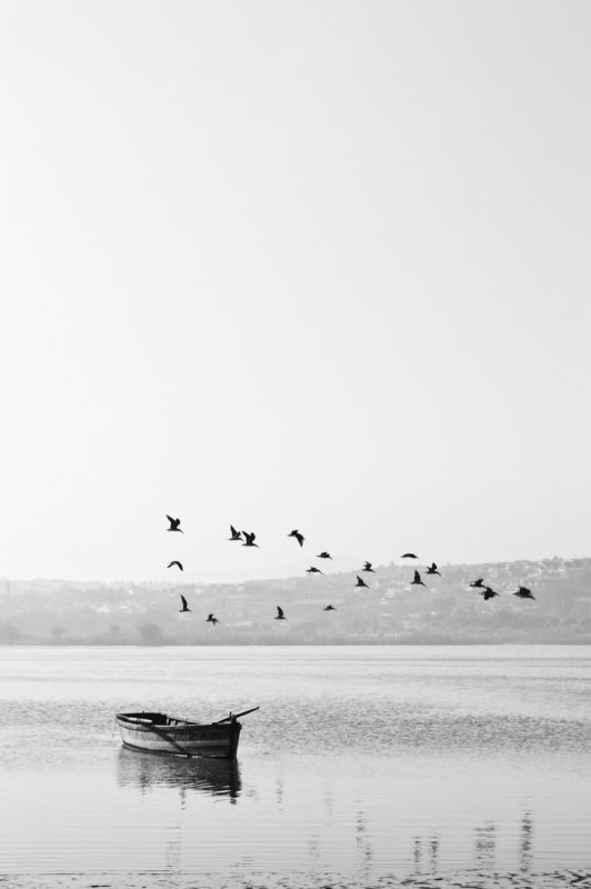 Черно-белое фото лодка и птицы