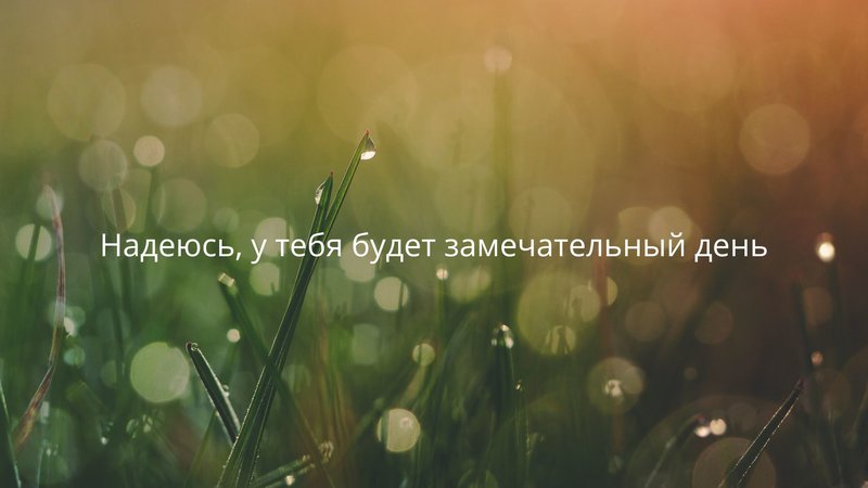 Фото с красивым текстом пожеланием хорошего дня
