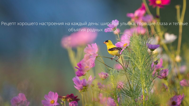 Красивые строки с утра
