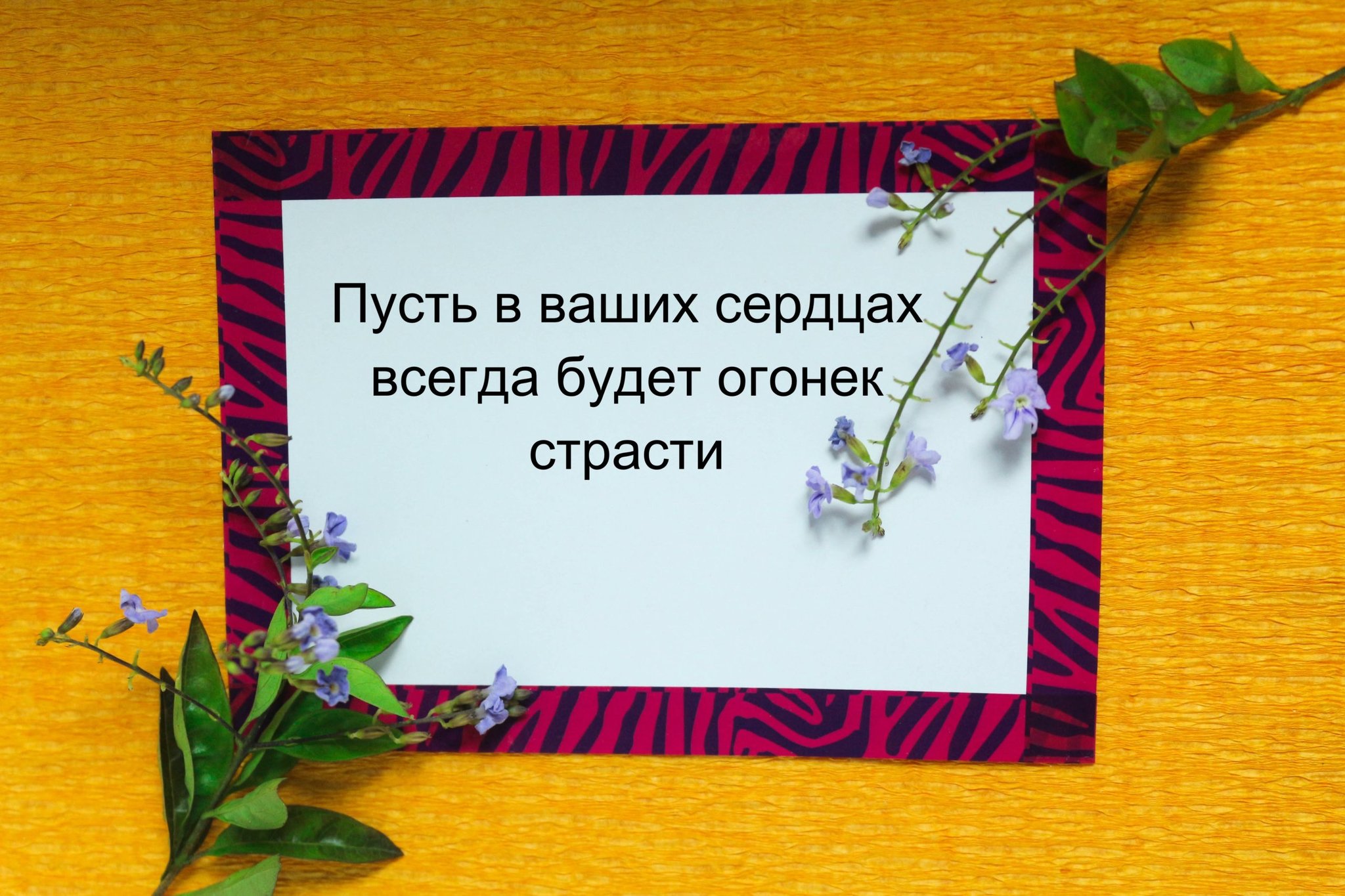 Что пожелать молодоженам в двух словах (коротко)