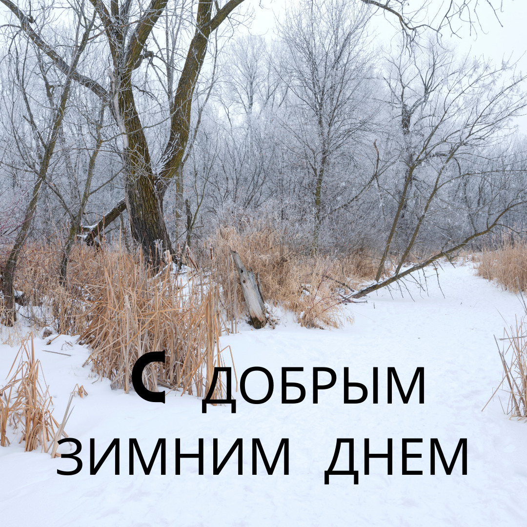 Хорошего дня зима