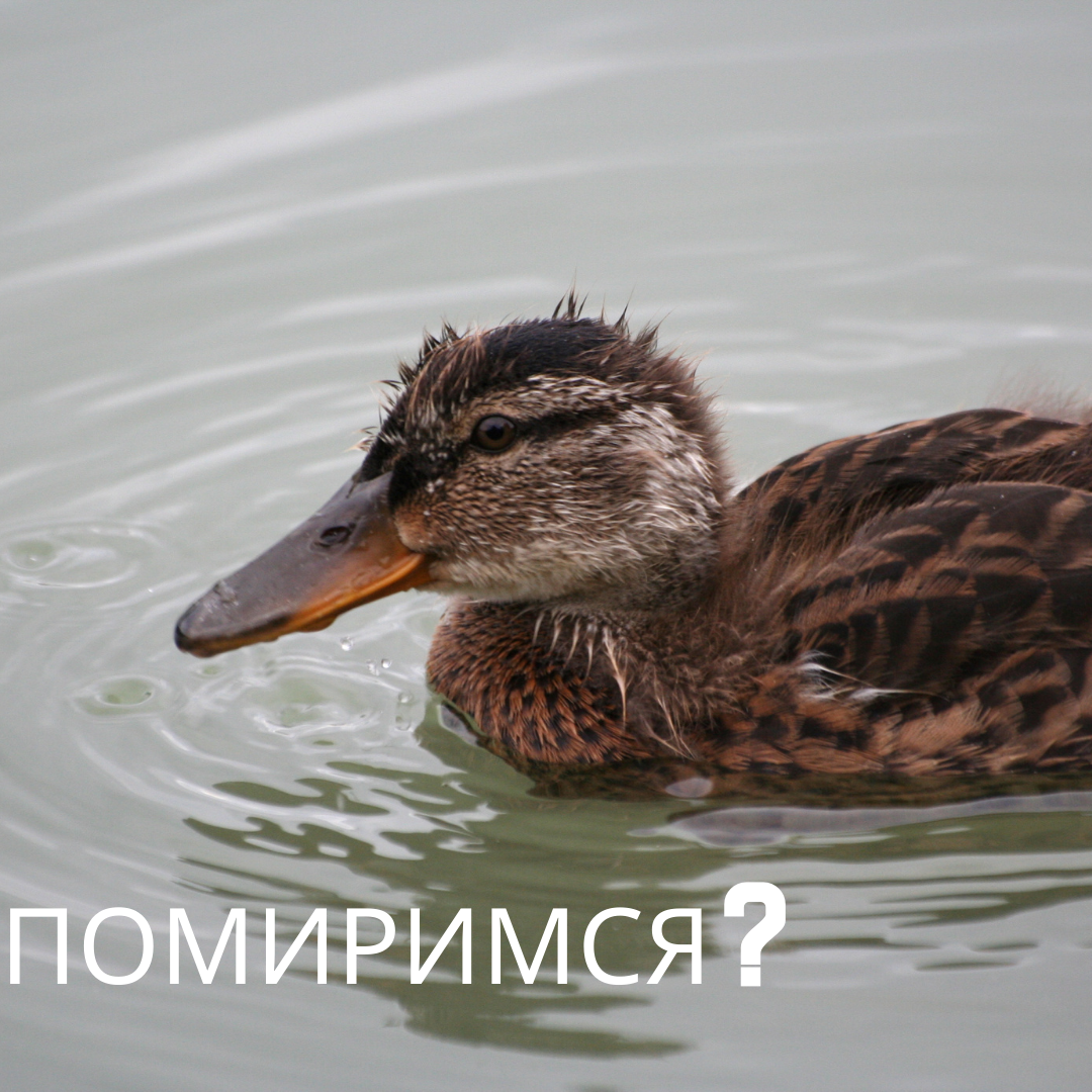 Давай помиримся картинки