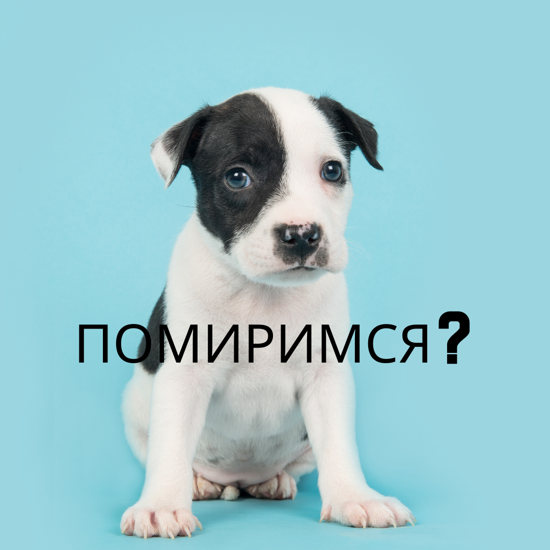 Стикер давай мириться