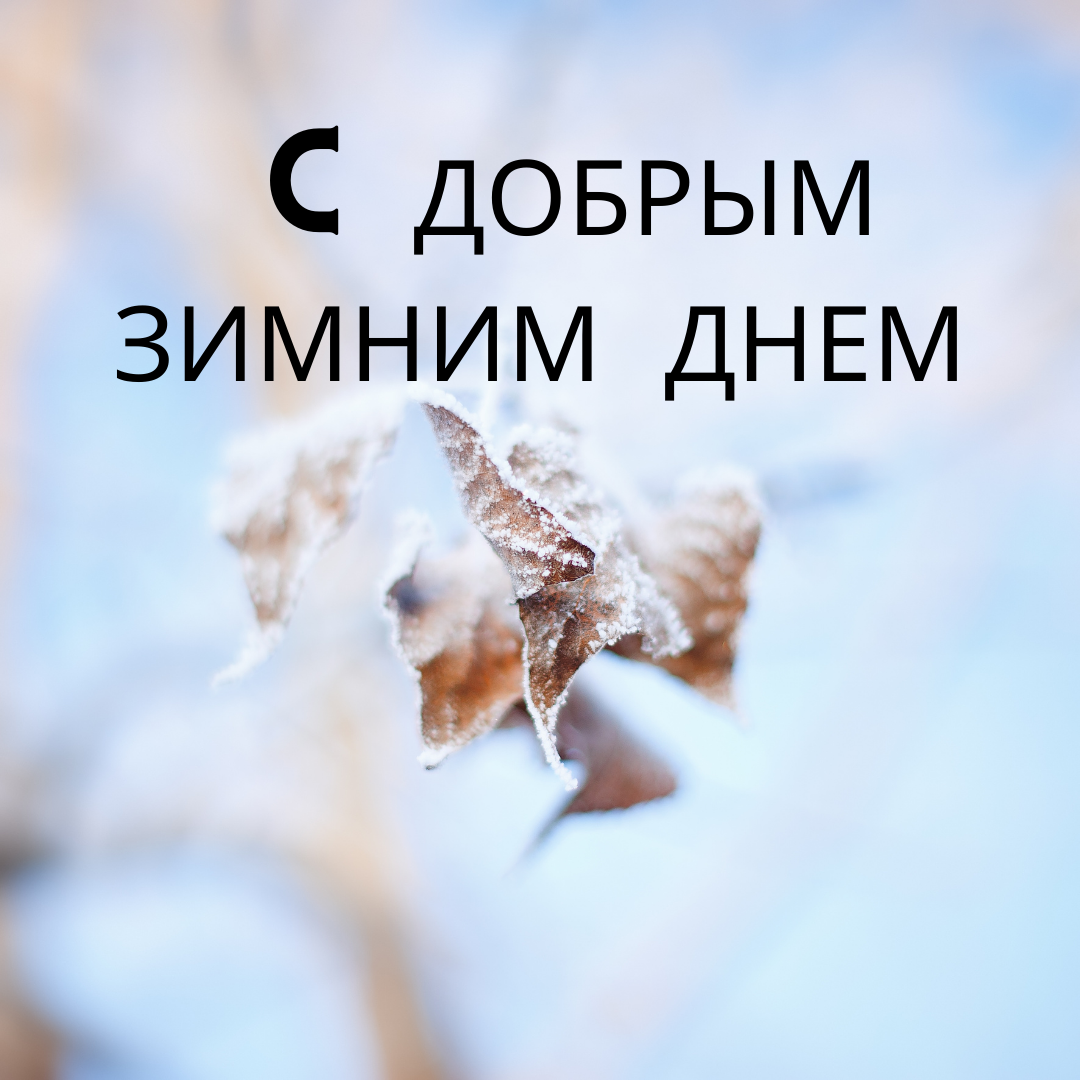 С добрым зимним утром картинки с пожеланиями