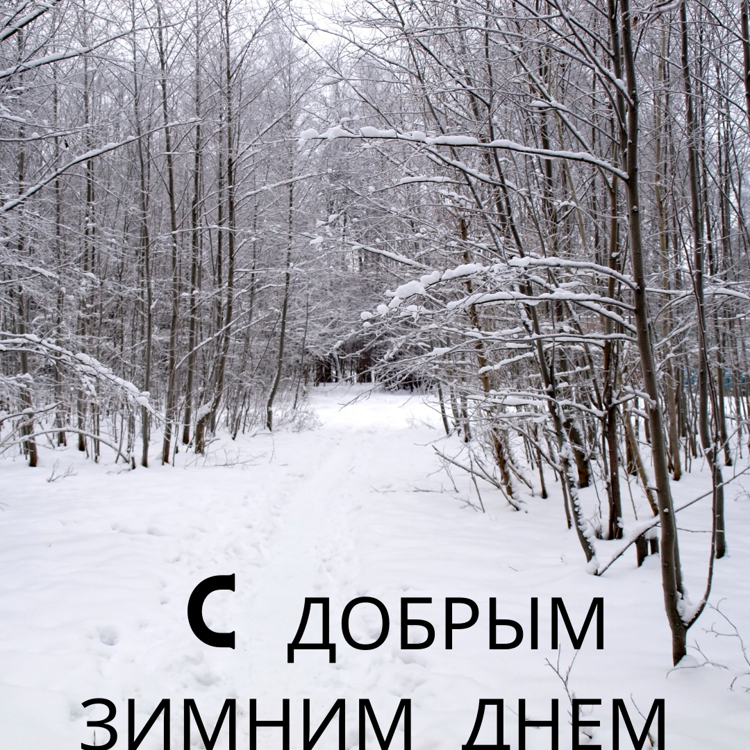 Хорошего дня зима