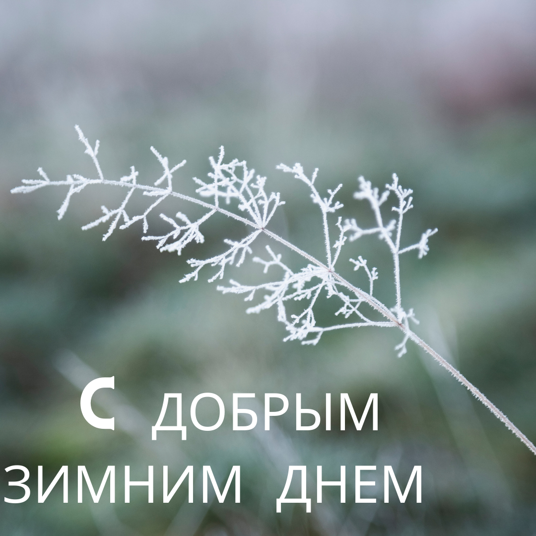 С добрым зимним