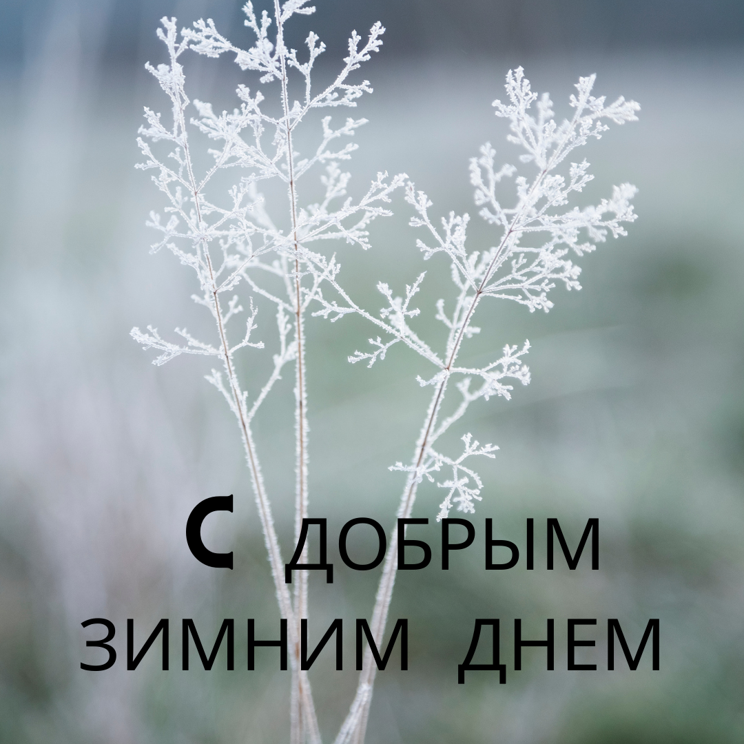 С добрым зимним