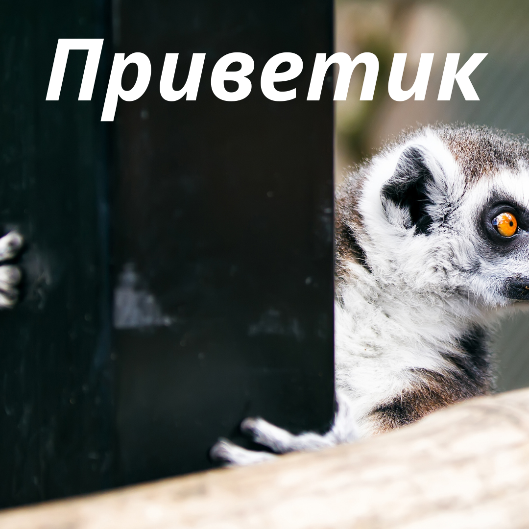Привет картинки очень красивые