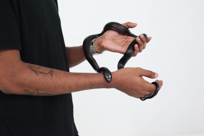 Черная змея на руках