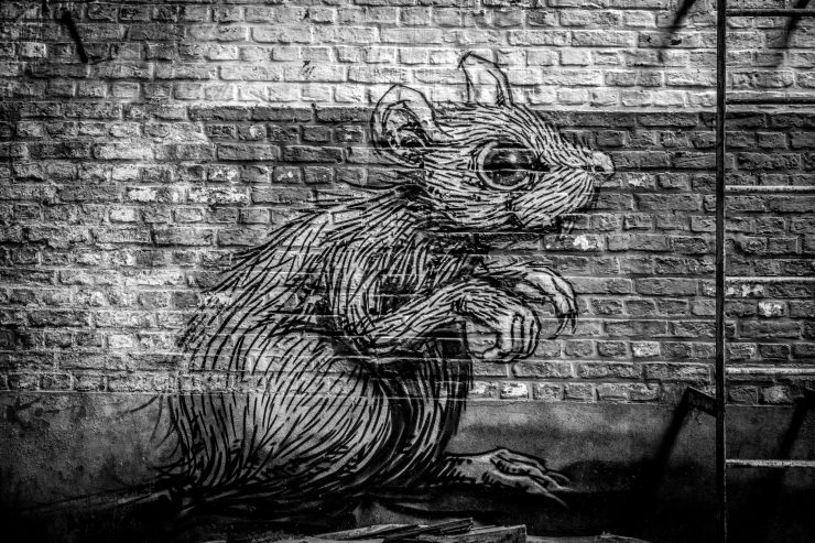 Граффити крыса